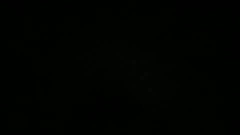 avg3131 online show from 7, 12, 2024