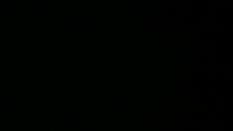 avg3131 online show from 16, 1, 2025