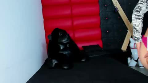 avi_thomsonn online show from 13, 3, 2026