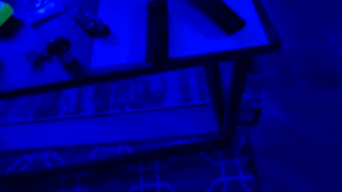 AylaTy online show from 28, 9, 2025