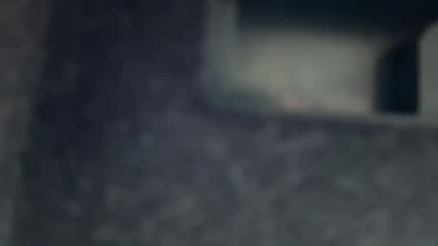 AYBOY online show from 17, 11, 2025