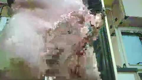 Snapshot of azzlis chatting on 2, 3, 2026 huge mature cock online show from 2, 3, 2026