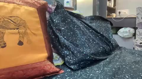 badsins13 online show from 10, 11, 2025