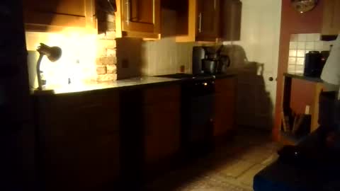 Snapshot of ballet_bears chatting on 2, 11, 2025 Ballet Bear online show from 2, 11, 2025