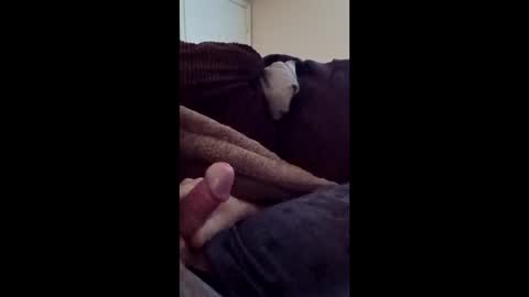 ballsdeepbruce online show from 16, 12, 2025