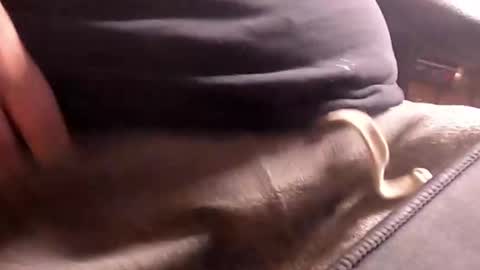 Wank Hank online show from 3, 10, 2025