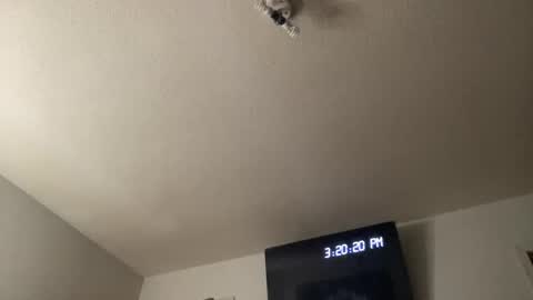 Chelly online show from 25, 3, 2026