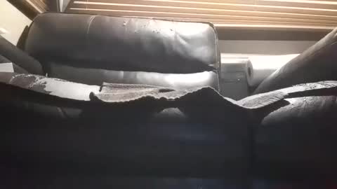 baobabtree10 online show from 28, 10, 2025