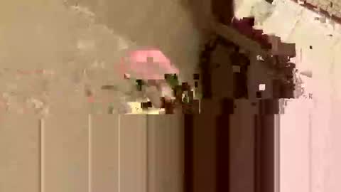 barkley314 online show from 3, 11, 2025