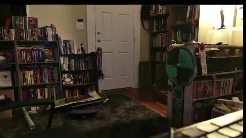 Wraith online show from 22, 2, 2026