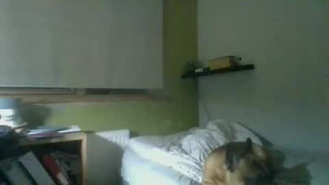 Snapshot of bart_poland chatting on 23, 10, 2025 bart_poland online show from 23, 10, 2025