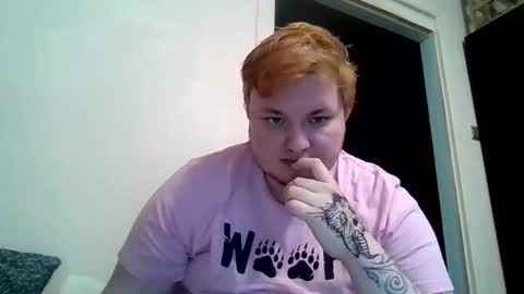 BartTheBear online show from 9, 2, 2026