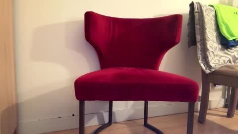 Batestallion9x6 online show from 19, 1, 2026