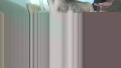 Snapshot of bathoneacock chatting on 2, 3, 2025 bathoneacock online show from 2, 3, 2025