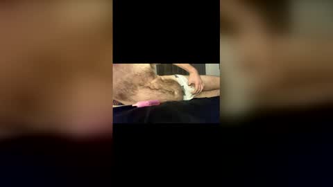 Baz online show from 18, 1, 2026