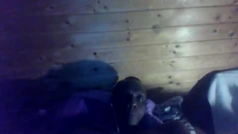 bbcmasterxl online show from 22, 12, 2025