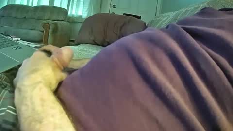 bcema2 online show from 24, 10, 2025