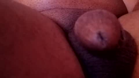 bcfalcon69 online show from 13, 2, 2026