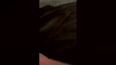 Snapshot of bdddave chatting on 9, 3, 2026 bdddave online show from 9, 3, 2026