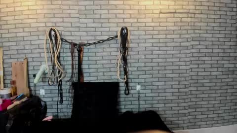 Meduza  online show from 14, 11, 2025