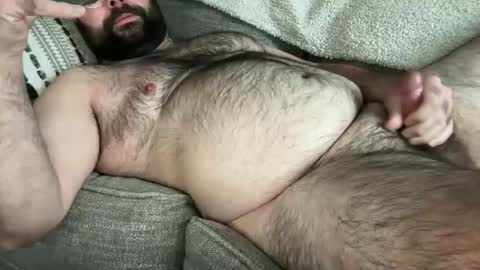 bear_country online show from 25, 11, 2025