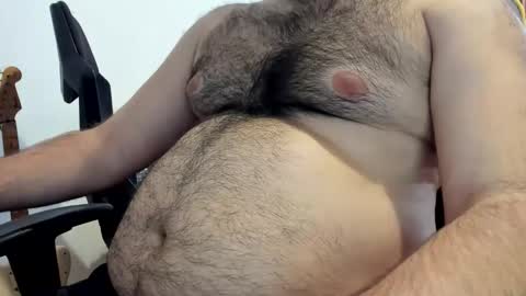 DOM bear online show from 26, 3, 2026