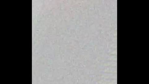 Bearvixen online show from 18, 1, 2026