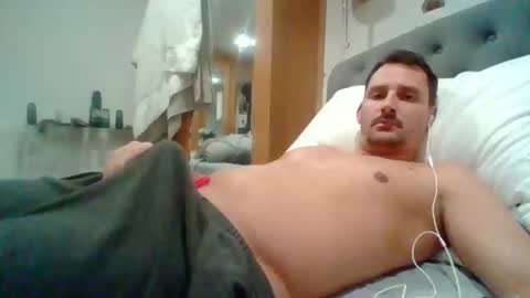 bearboudior online show from 24, 3, 2026