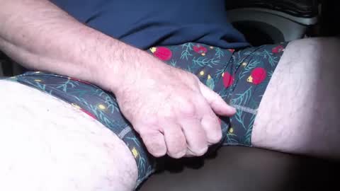 bearbuffet_ online show from 20, 12, 2024