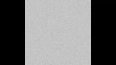 bearded_fellow online show from 28, 9, 2025