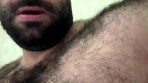 bearplay12 online show from 14, 11, 2025