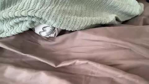 beaumec111 online show from 17, 3, 2026