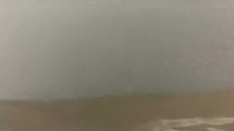 love2seeudear online show from 10, 3, 2026