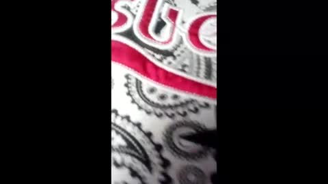 bebyhardsex online show from 17, 3, 2026