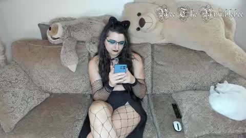 Bee online show from 4, 12, 2025