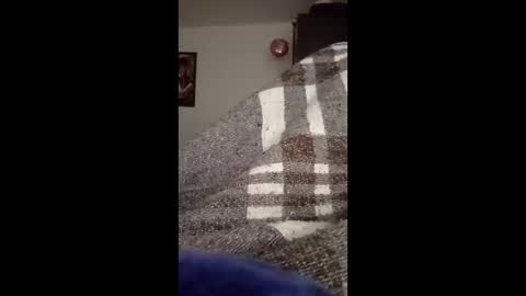 Snapshot of belcebu472402 chatting on 2, 11, 2025 belcebu472402 online show from 2, 11, 2025