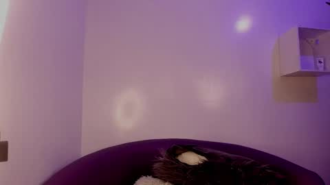 Bella online show from 3, 2, 2026