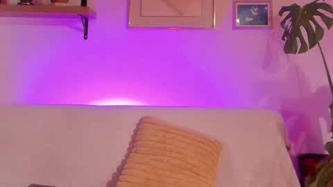 Bel  online show from 20, 11, 2025