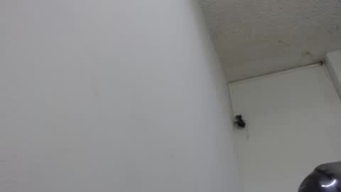Snapshot of bella_lady_1_ chatting on 13, 2, 2025 lady online show from 13, 2, 2025