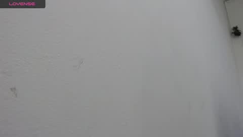 Snapshot of bella_lady_1_ chatting on 19, 2, 2025 lady online show from 19, 2, 2025