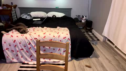 Roxy Rain online show from 1, 3, 2025