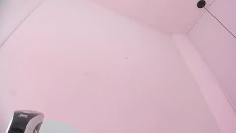 Snapshot of bellota_flak chatting on 8, 11, 2025 Bellota Flak online show from 8, 11, 2025