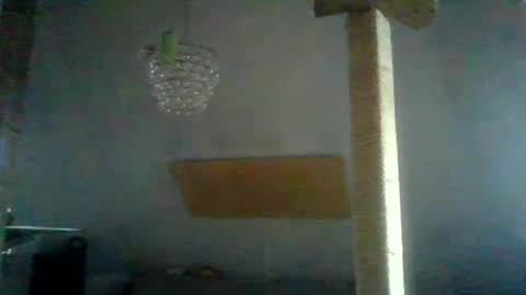 benizio online show from 24, 1, 2025