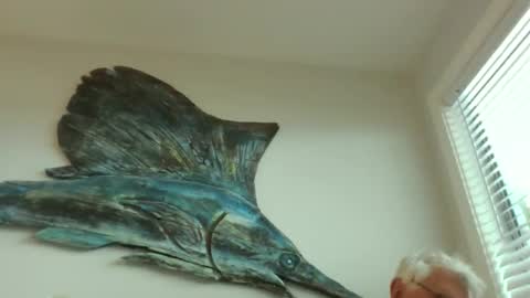 bestshot1951 online show from 20, 3, 2026