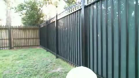 Blue online show from 5, 3, 2026