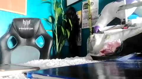 bheb_ji online show from 15, 2, 2026