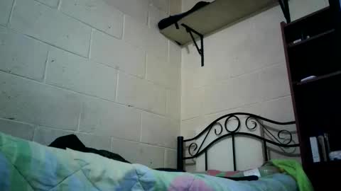 Snapshot of bichopeludo chatting on 6, 10, 2025 bichopeludo online show from 6, 10, 2025