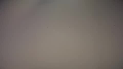 Biff Beaverhousen online show from 1, 11, 2025