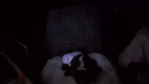 Snapshot of big_davis4 chatting on 30, 11, 2025 big_davis4 online show from 30, 11, 2025