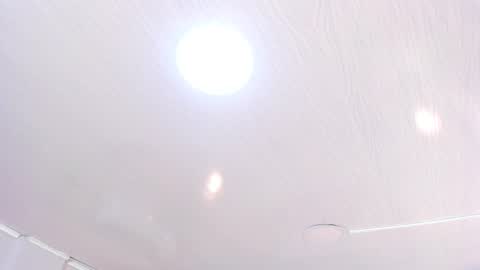   online show from 4, 12, 2025